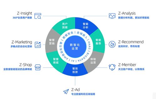 卓尔数科参与编写, 企业数据应用能力成熟度模型 数字营销 发布 企业资讯 techweb